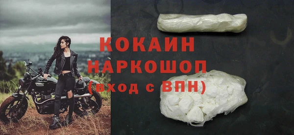 прущий лед Алзамай