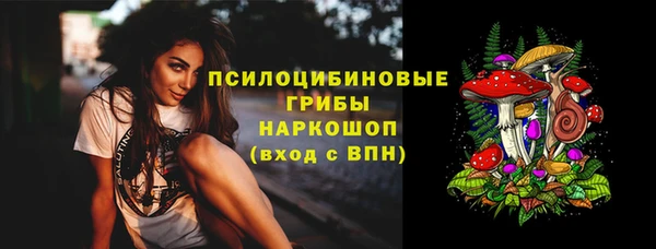 скорость Алексин